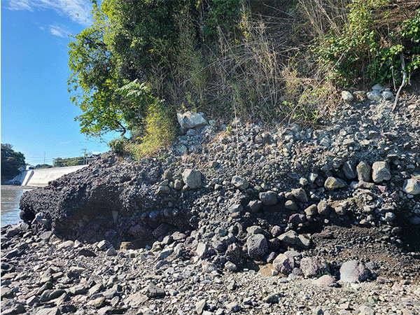 七浦小付近の地層（凝灰角礫岩の地層）