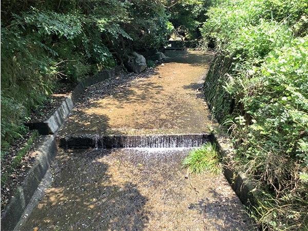 本明川｜上流