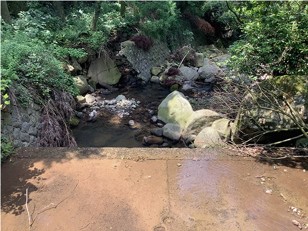 本明川｜上流その2