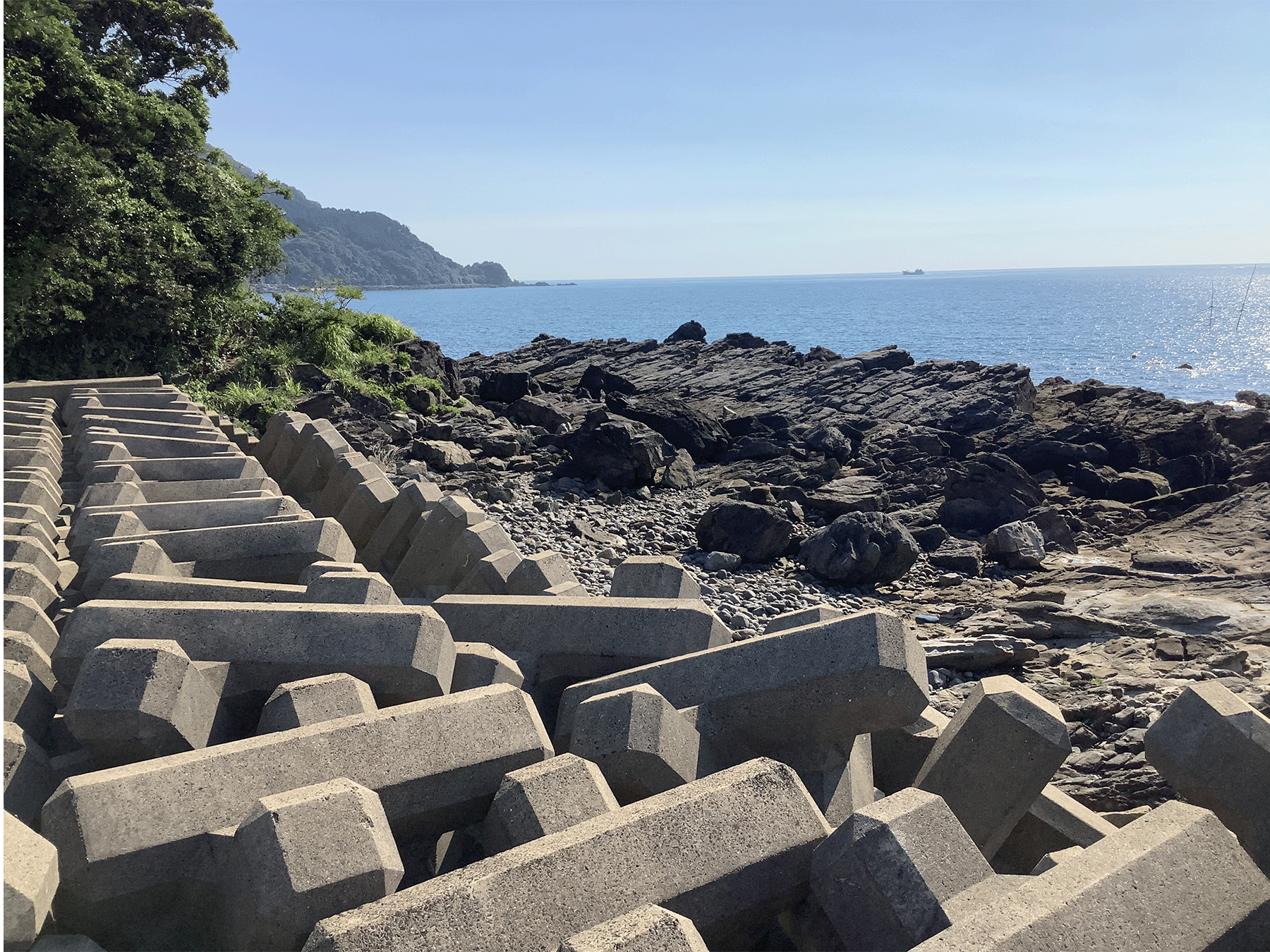 西彼杵層群蛎浦層