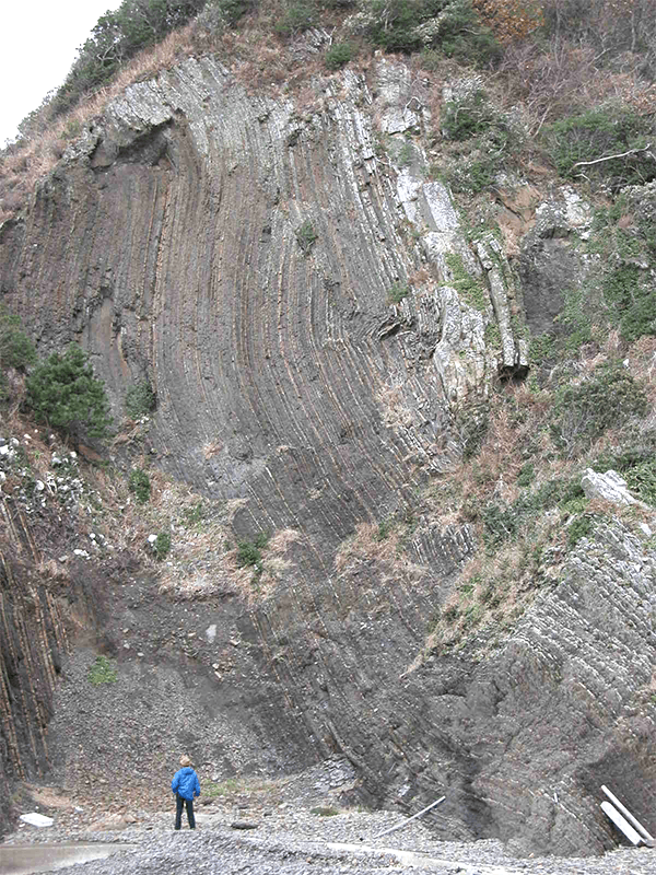垂直に立ち上がった地層
