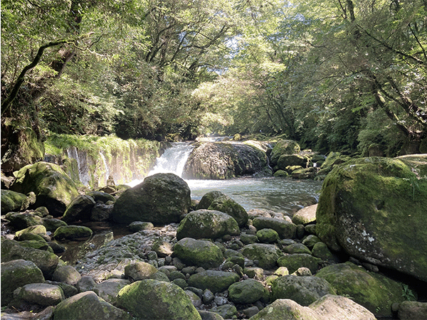 菊池川｜上流