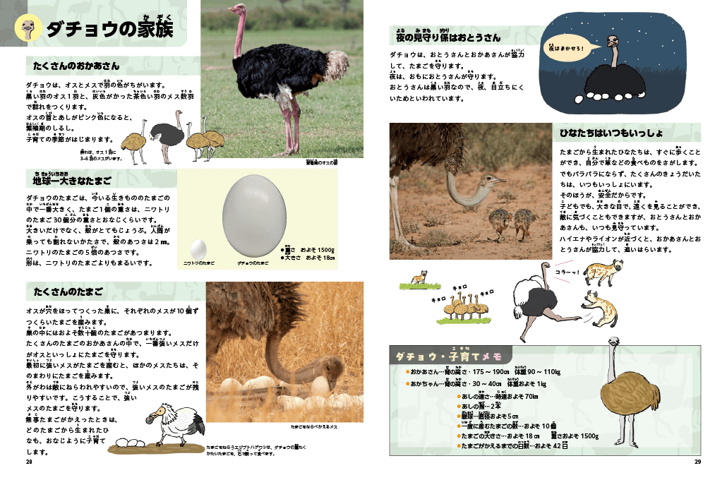ダチョウ２