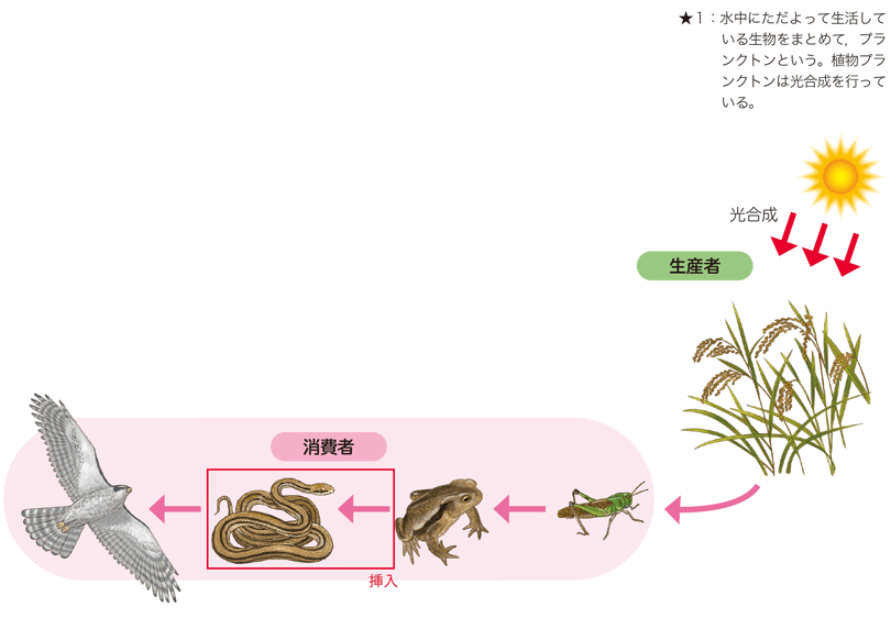 新版 理科の世界3年 p.119 図1 新