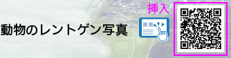 理科の世界1年p.46 図2 新