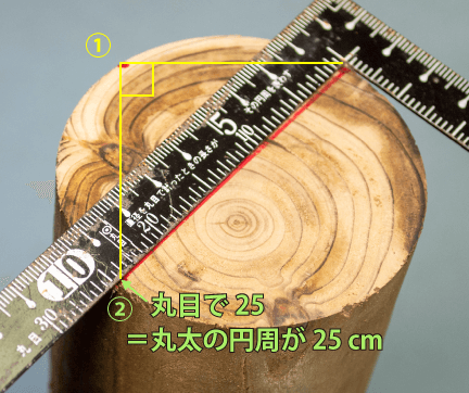 丸目で丸太をはかる