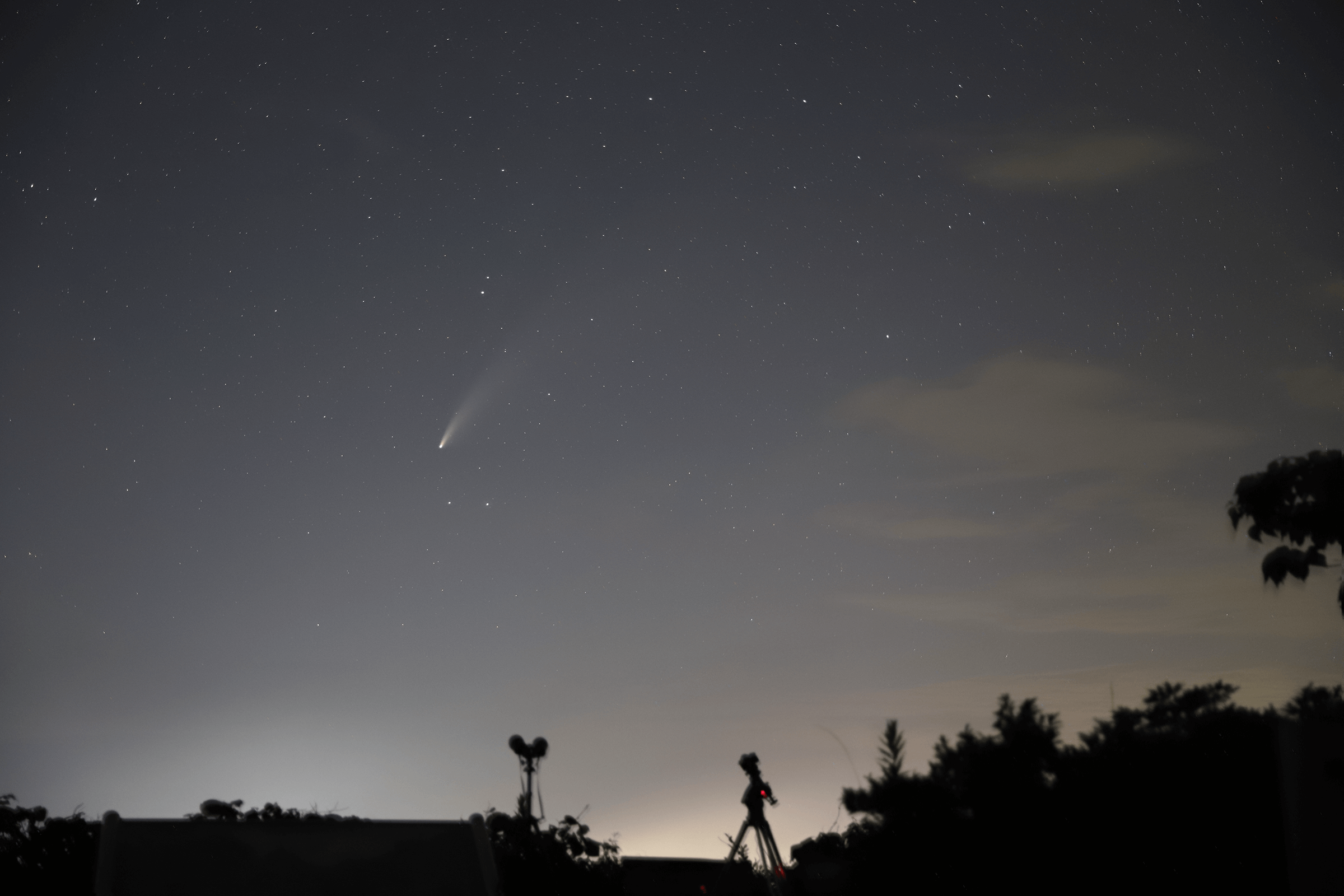 ネオワイズ彗星 50mm