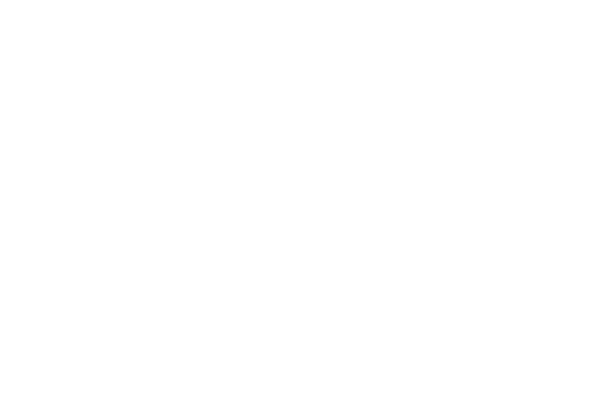 みなみじゅうじ座 星座線