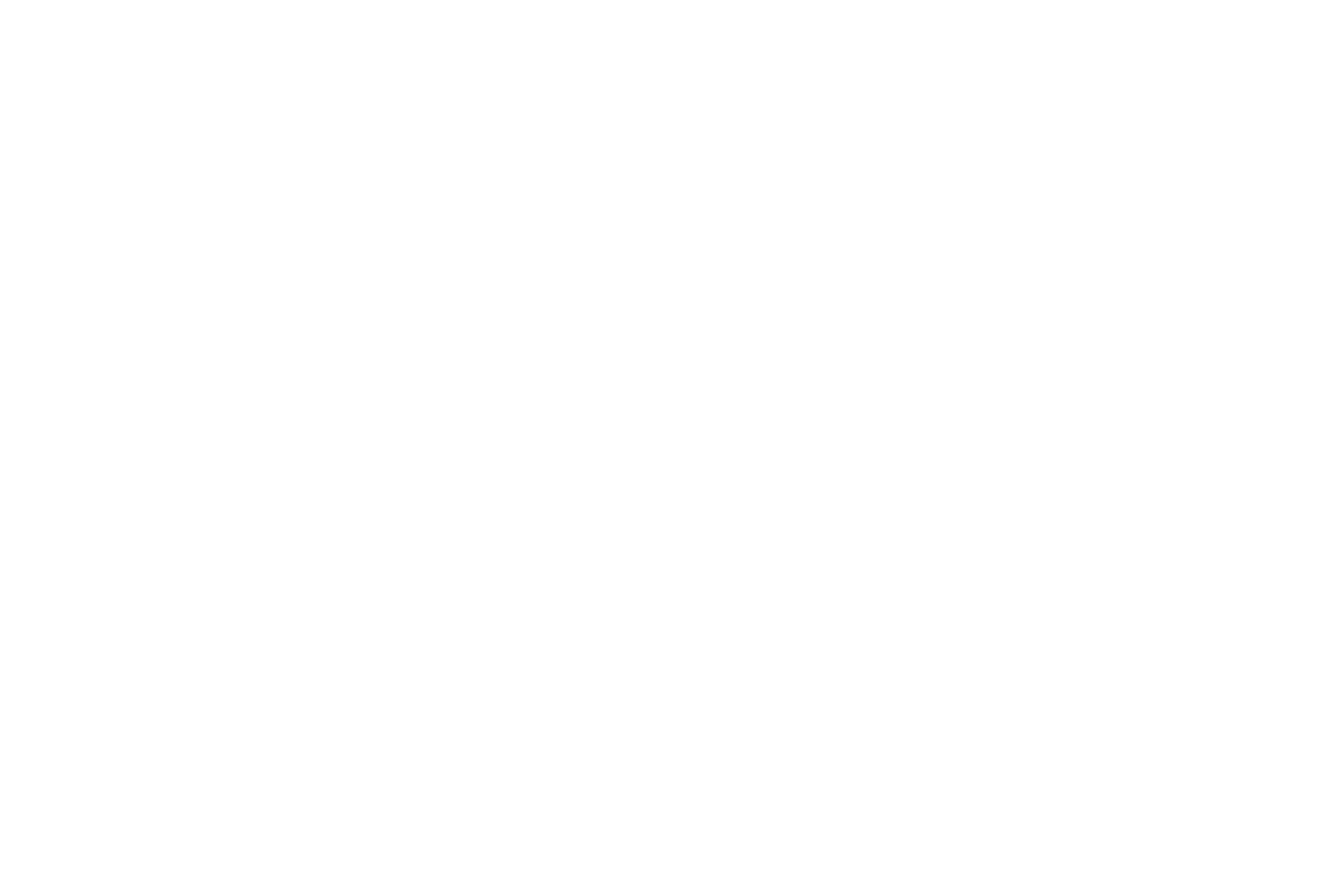 おおかみ座新星 星座線