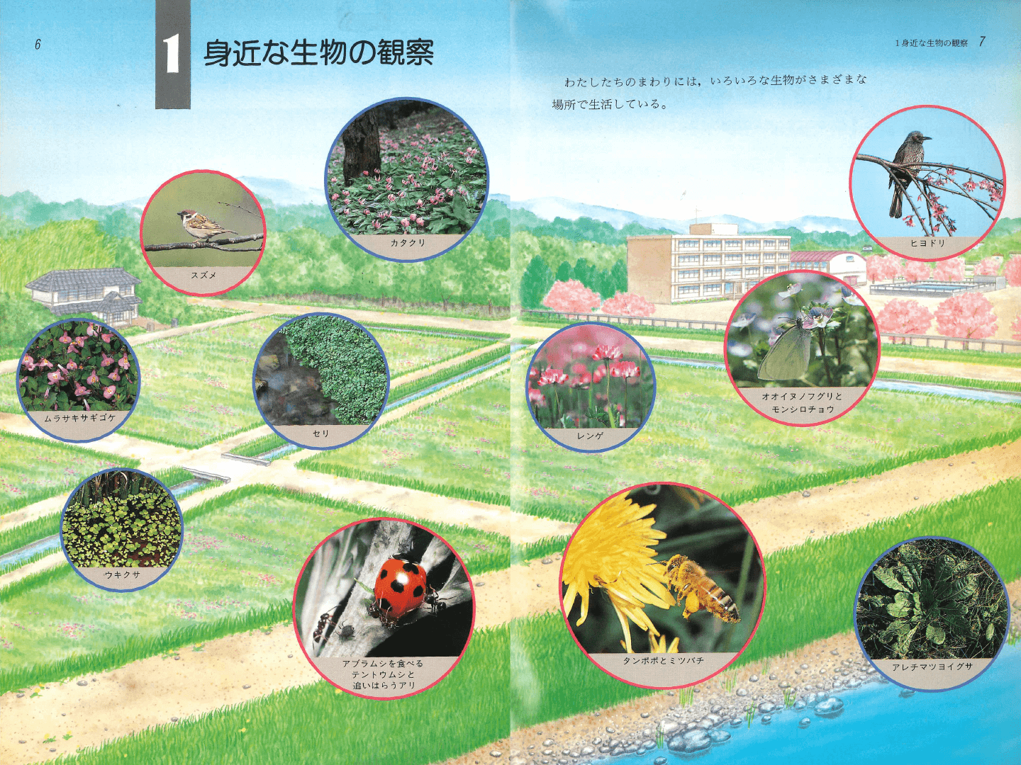 H5中学校理科２分野上｜p.6-p.7