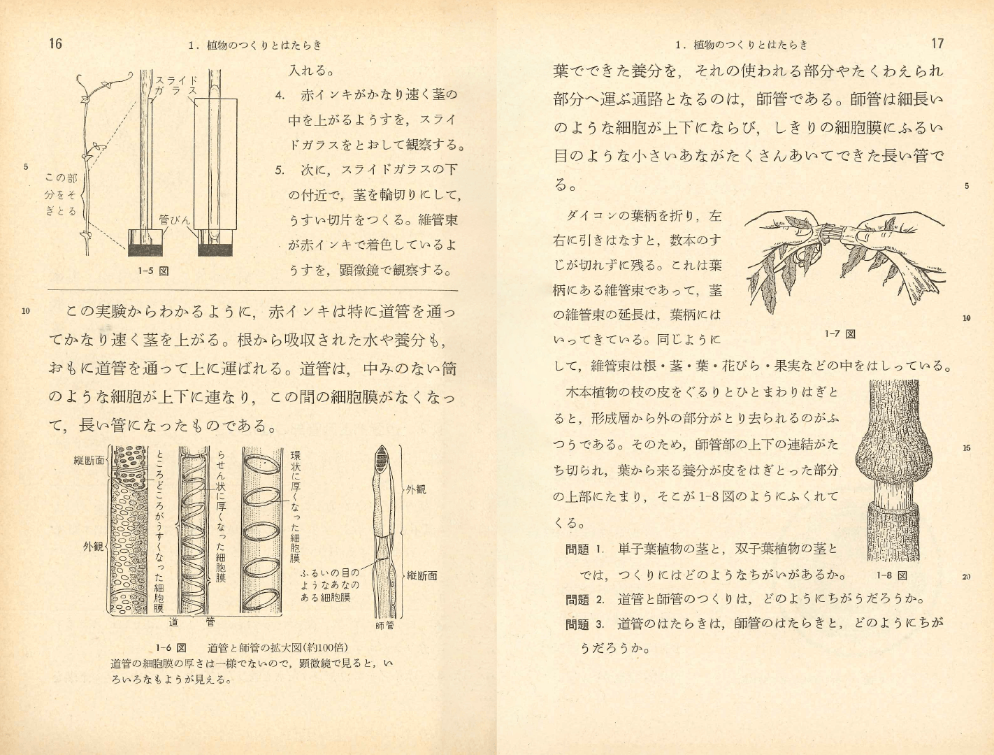 S37中学校理科２年｜p.16-p.17
